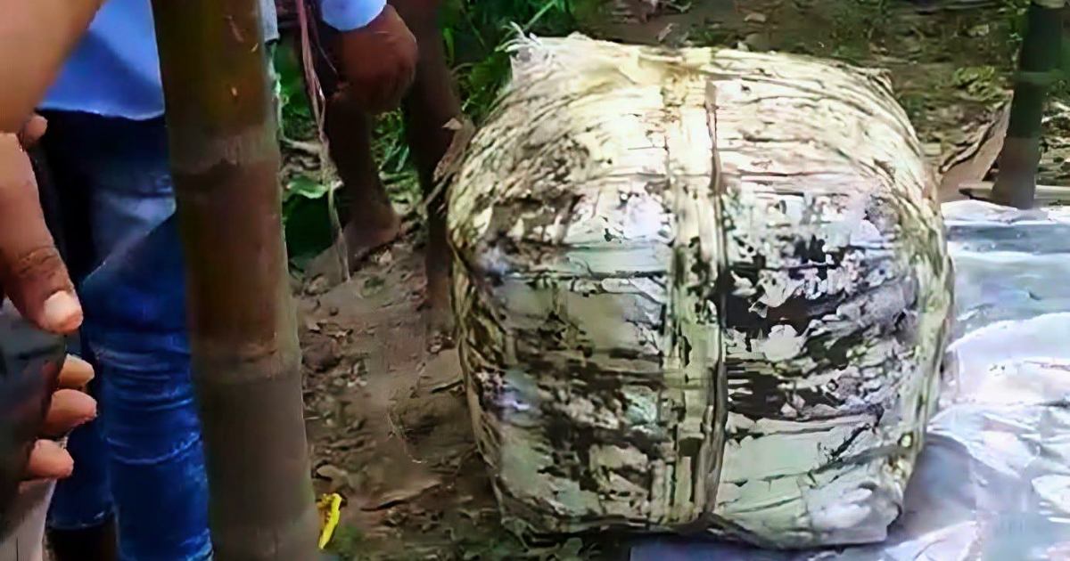 কিশোর রাকিব হত্যা মামলায় চাঞ্চল্যকর তথ্য: মরদেহ উদ্ধার করল পুলিশ