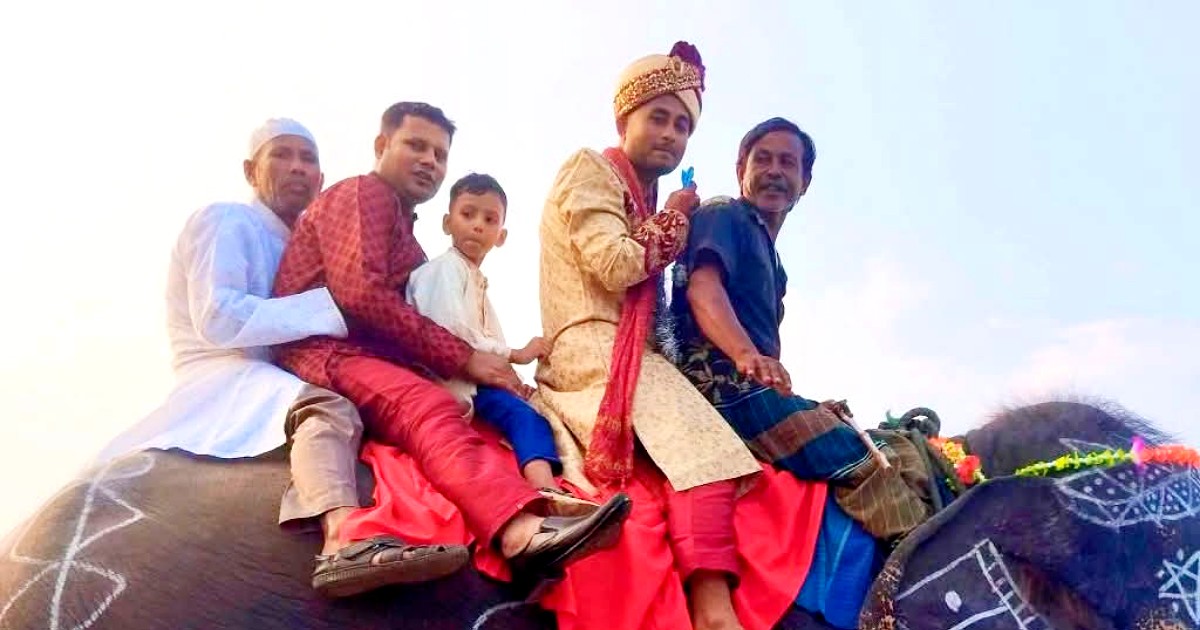 হাতির পিঠে চড়ে বিয়ে মায়ের দীর্ঘদিনের ইচ্ছে পূরণ করলেন গাইবান্ধার যুবক