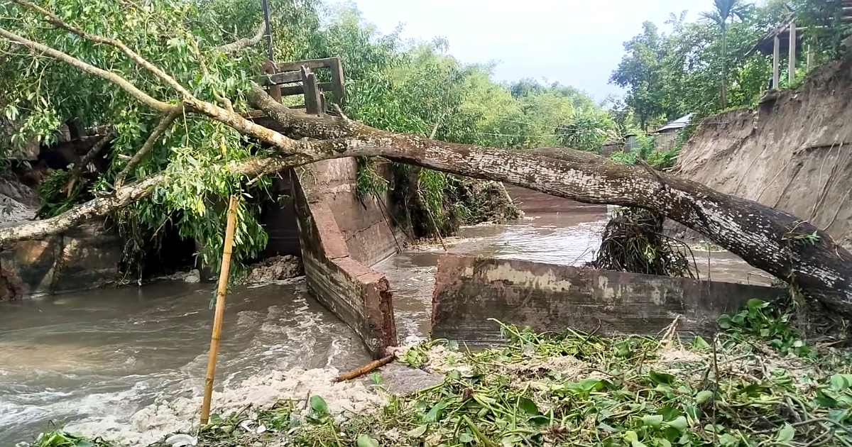 নীলফামারীতে নদীর তোড়ে স্লুইসগেট ধস