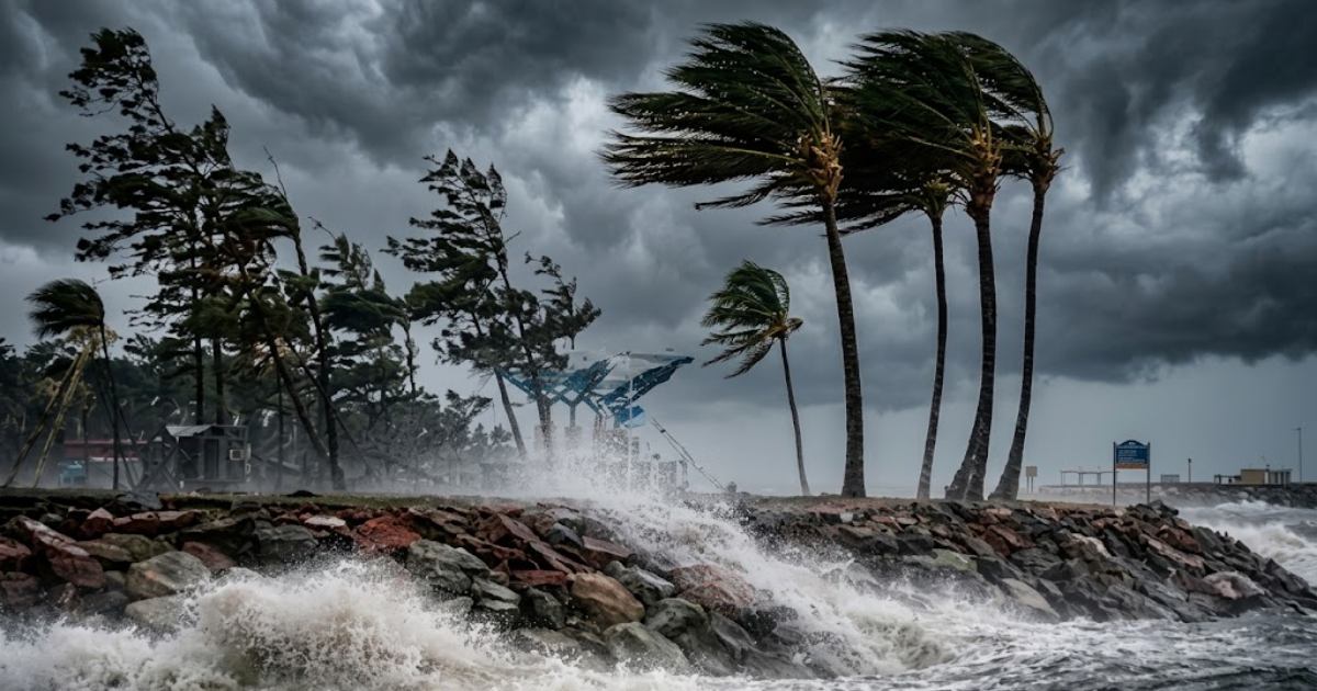 নদীবন্দরে ১ নম্বর সতর্কসংকেত‍‍` জানাল আবহাওয়া অফিস