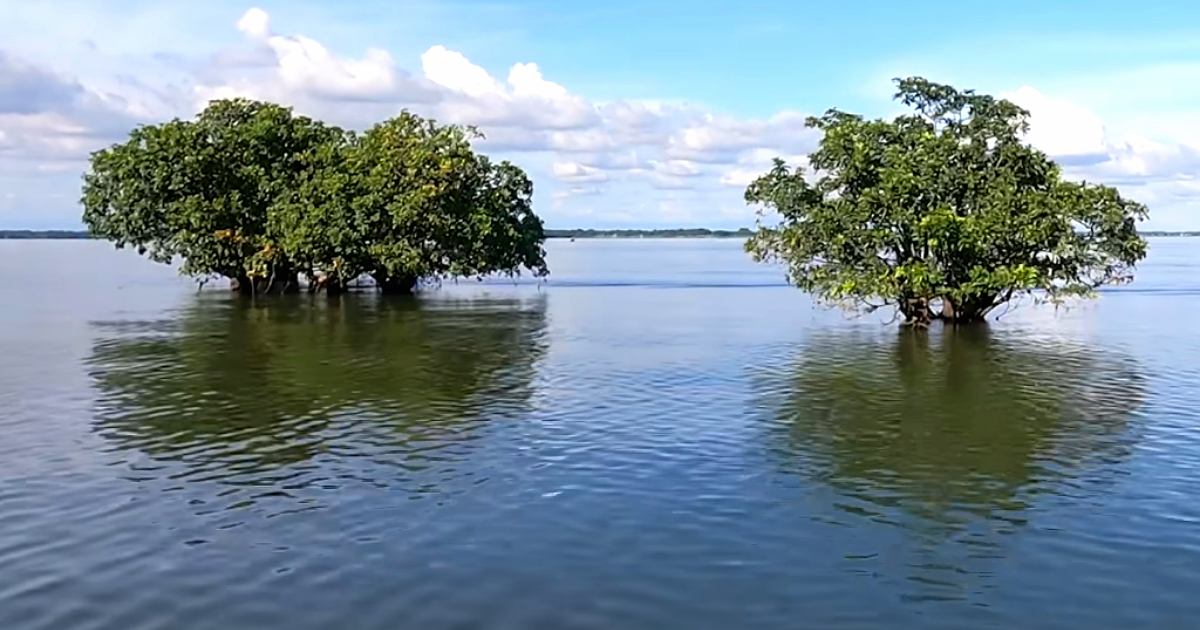 সিলেটের হাকালুকি হাওর: ছয় উপজেলা জুড়ে বিস্তৃত দেশের বৃহত্তম জলাভূমি