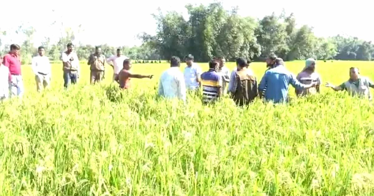 হাতীবান্ধা সীমান্তে চিতাবাঘের সন্ধান মেলেনি, চার দিন পর ফিরল বিশেষজ্ঞ দল