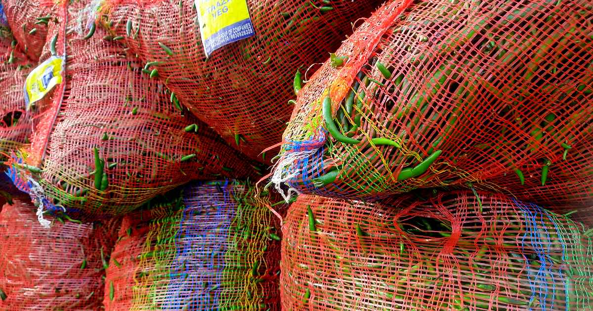 ৮ মাস পর হিলি দিয়ে কাঁচা মরিচ আমদানি শুরু