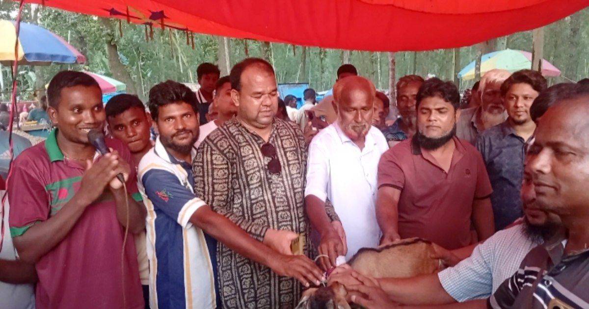 হাজারো দর্শকের ভিড়ে জমে উঠল বীরগঞ্জের পাতা খেলা