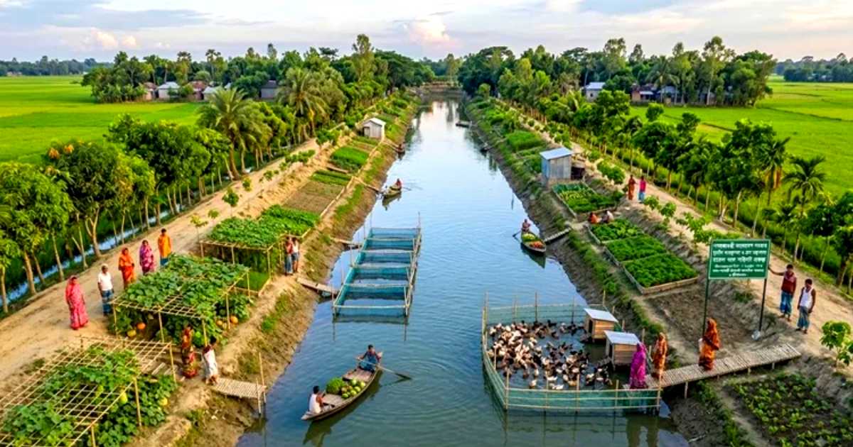 মডেল খাল কর্মসূচি চালুর উদ্যোগ নিল দুর্যোগ ব্যবস্থাপনা ও ত্রাণ মন্ত্রণালয়