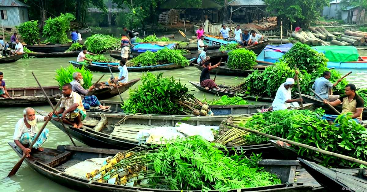 নেসারাবাদে কোটি টাকার চারা বিক্রি: নেপথ্যে ৩৮ গ্রামের বিপ্লব