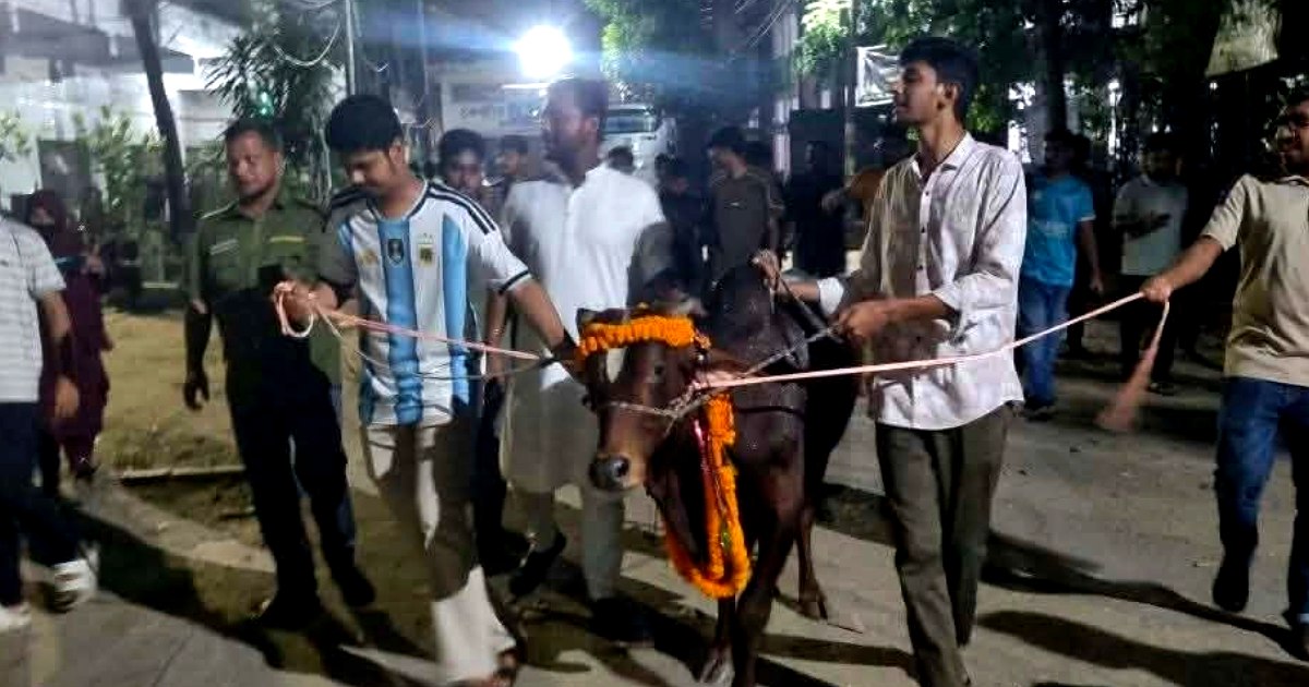 নিষেধাজ্ঞার প্রতিবাদে জবিতে শিক্ষার্থীদের মিছিল: আনা হলো লাখ টাকার গরু