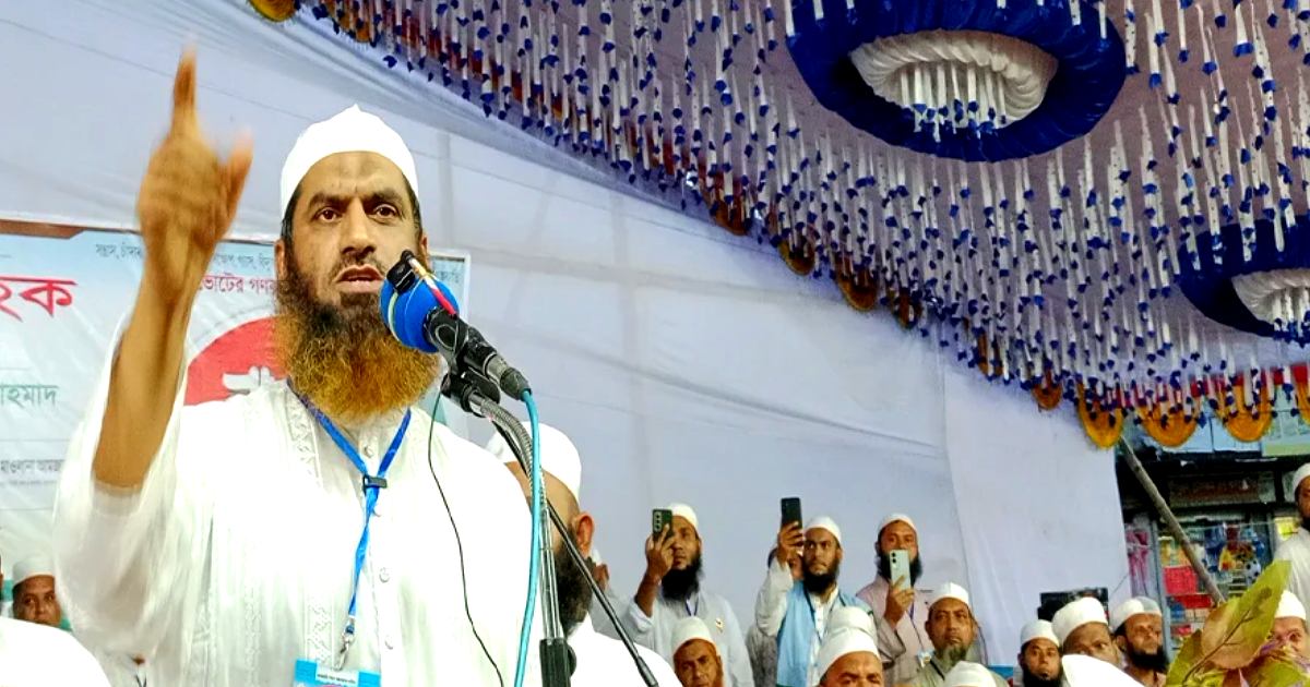 সরকার পতন চাই না, সরকার যেন ফ্যাসিবাদ না হয়ে ওঠে: মামুনুল হক
