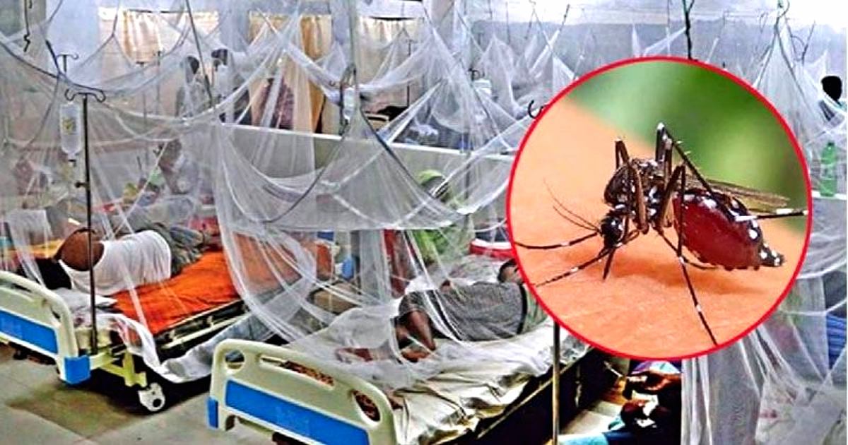 ডেঙ্গুতে আরও ৭ জনের মৃত্যু