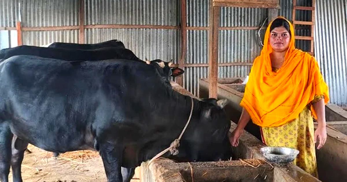 পরিবারের সহযোগিতা ও পরিশ্রমে আজ আমি সফল উদ্যোক্তা