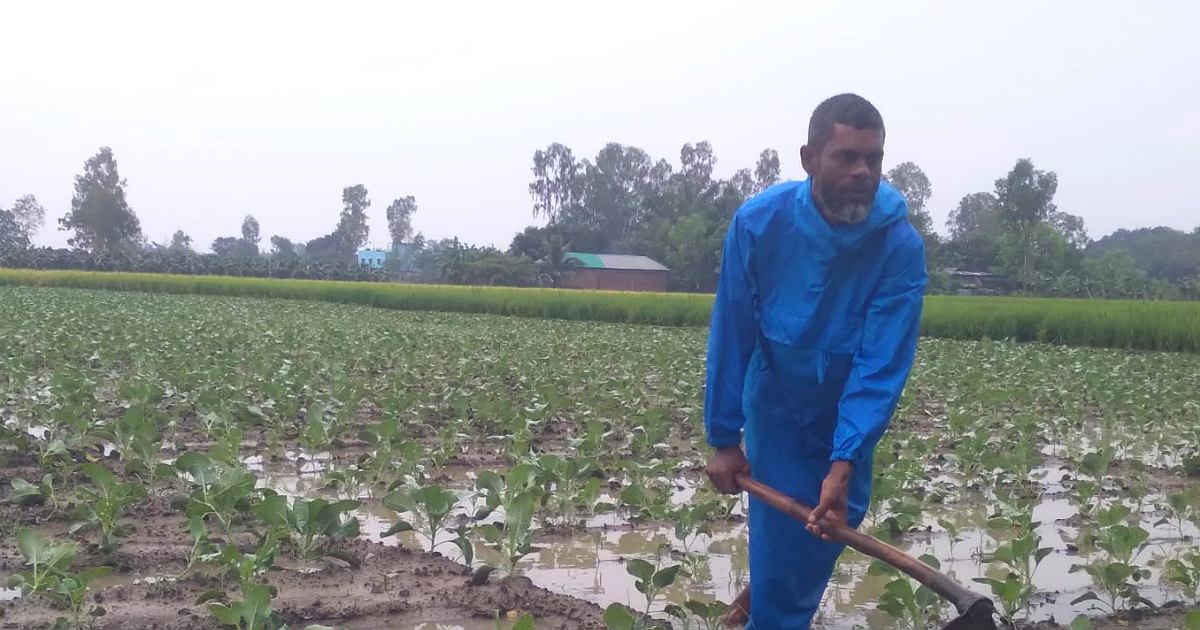 বীরগঞ্জে হঠাৎ বৃষ্টিতে তলিয়ে গেছে আগাম সবজি ব্যাপক ক্ষতির মুখে কৃষক