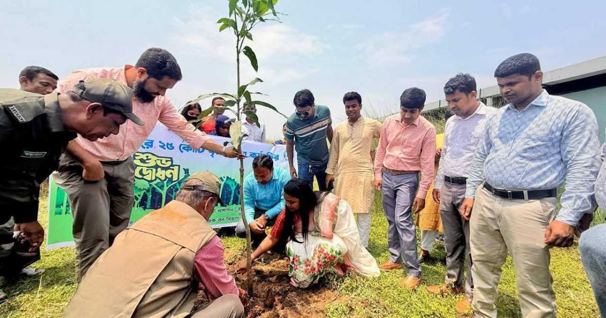 বীরগঞ্জে ৫ বছরে ২৫ কোটি বৃক্ষরোপণ কর্মসূচির উদ্বোধন