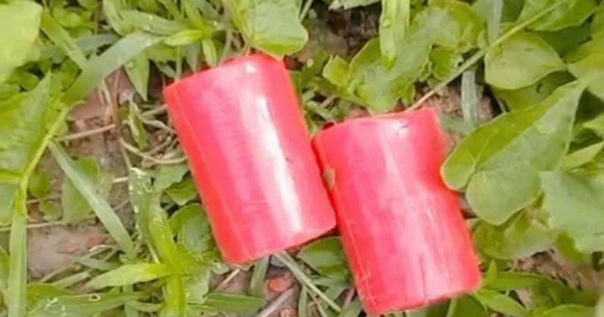 সাতক্ষীরায় বিএনপি অফিসের সামনে থেকে দুটি ককটেল উদ্ধার