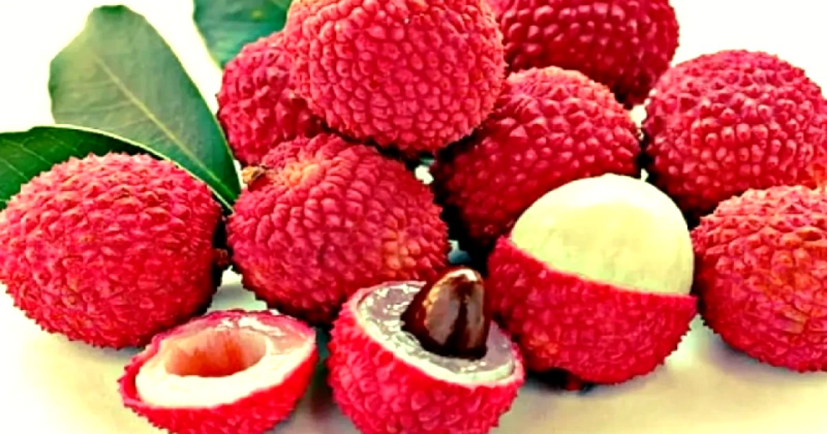 লিচুর বিচি গলায় আটকে শিশুর মৃত্যু