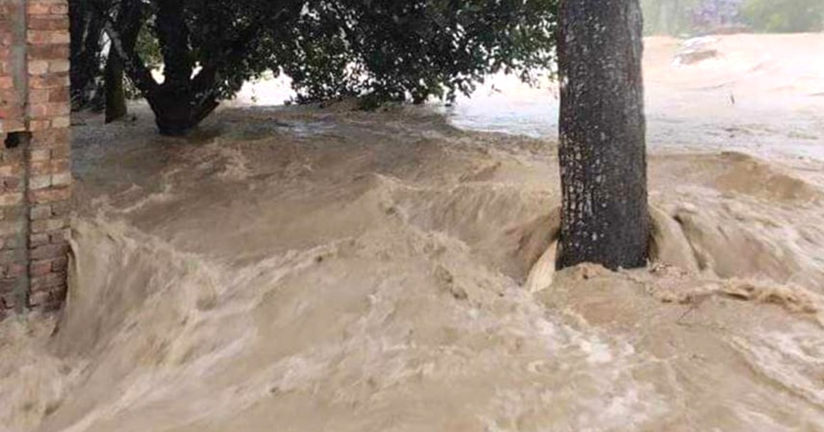 শেরপুরে বাঁধ ভেঙে লোকালয়ে ঢুকছে পাহাড়ি ঢলের পানি
