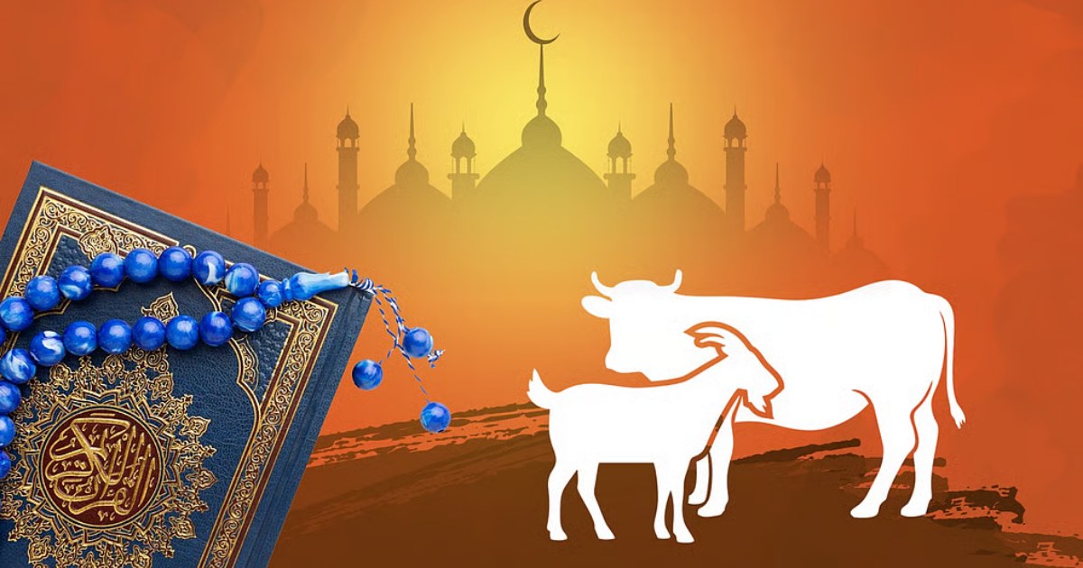 কোরবানির পশু জবাই করার সঠিক নিয়ম ও প্রয়োজনীয় দোয়া