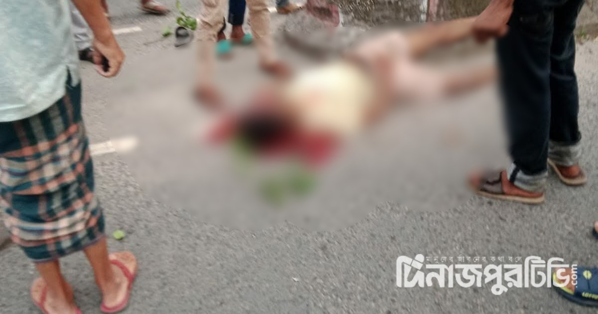 মোটরসাইকেলের নিয়ন্ত্রণ হারিয়ে দুই বন্ধুর মৃ‍‍`ত্যু