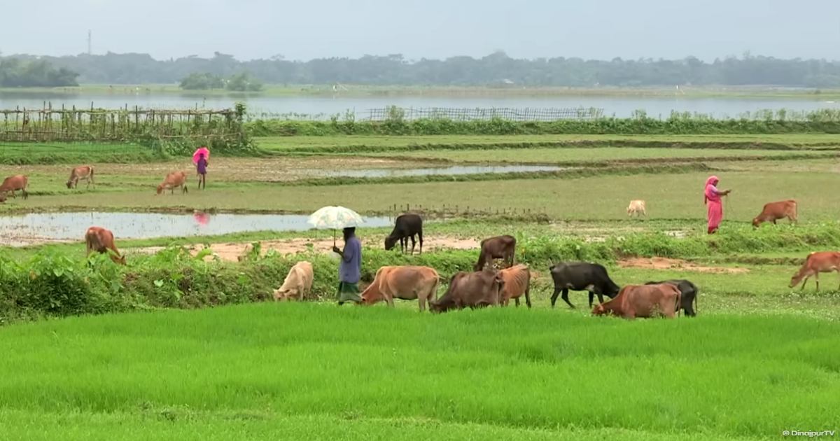 মেঘবৃষ্টির জৈন্তাপুর ভ্রমণ: মেগালিথ ও খাসিয়া পুঞ্জি