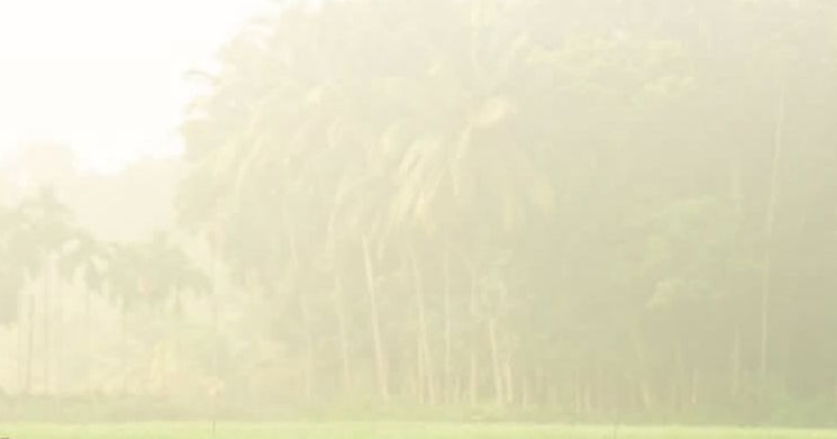 শীতের আগমনী বার্তা নিয়ে বদলে গেছে আবহাওয়ার ধরন