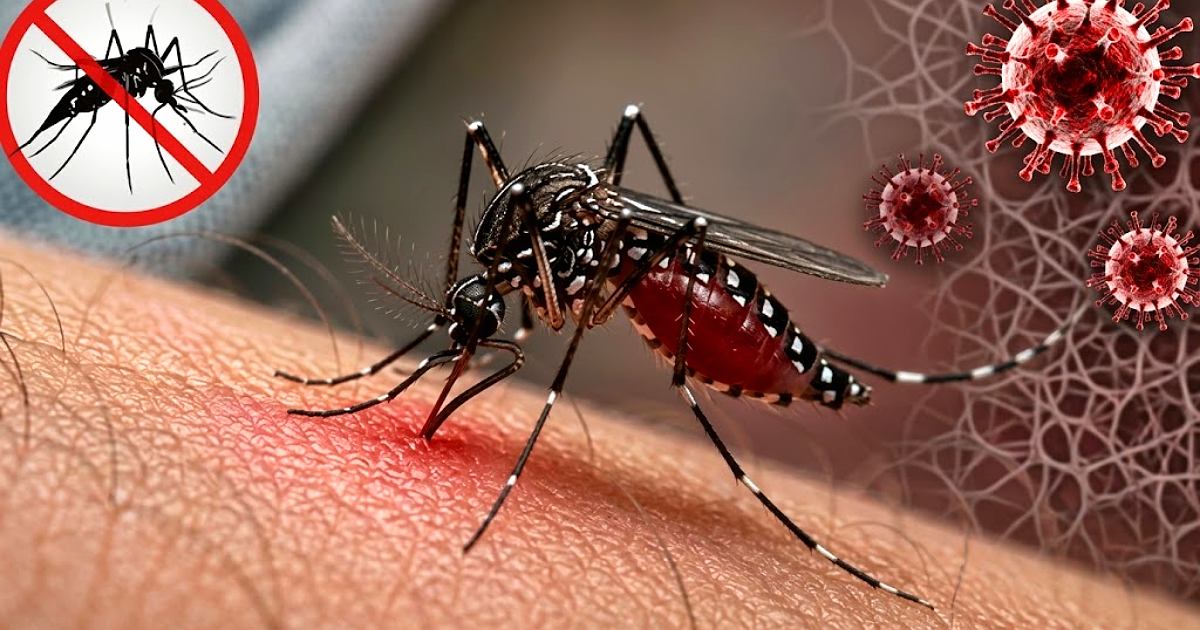 ডেঙ্গুতে একদিনে আরও ৯ জনের মৃত্যু