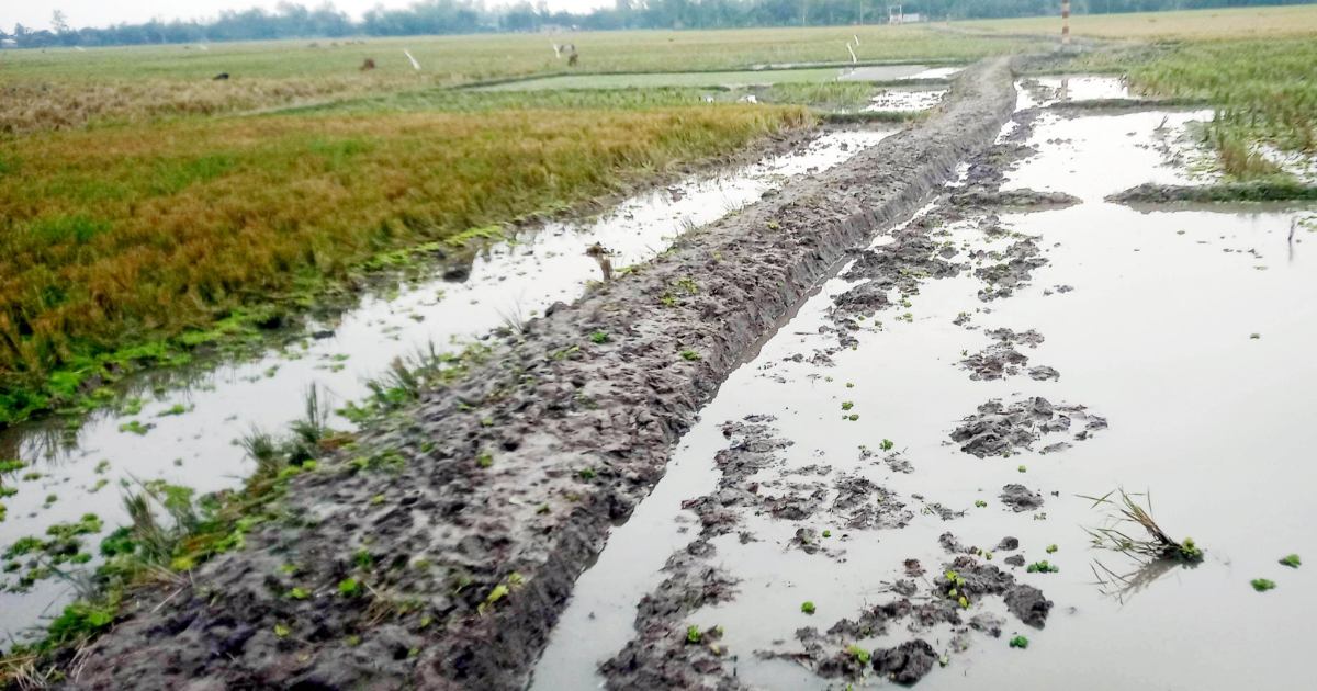 চিরিরবন্দরে নিজস্ব উদ্যোগে রাস্তা নির্মাণ