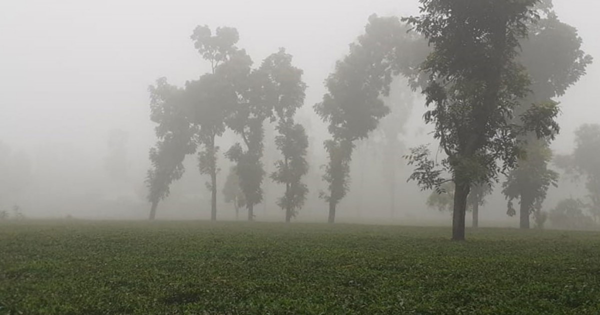 আশ্বিনের মাঝামাঝিতেই কুয়াশায় মোড়া পঞ্চগড়ের তেঁতুলিয়া