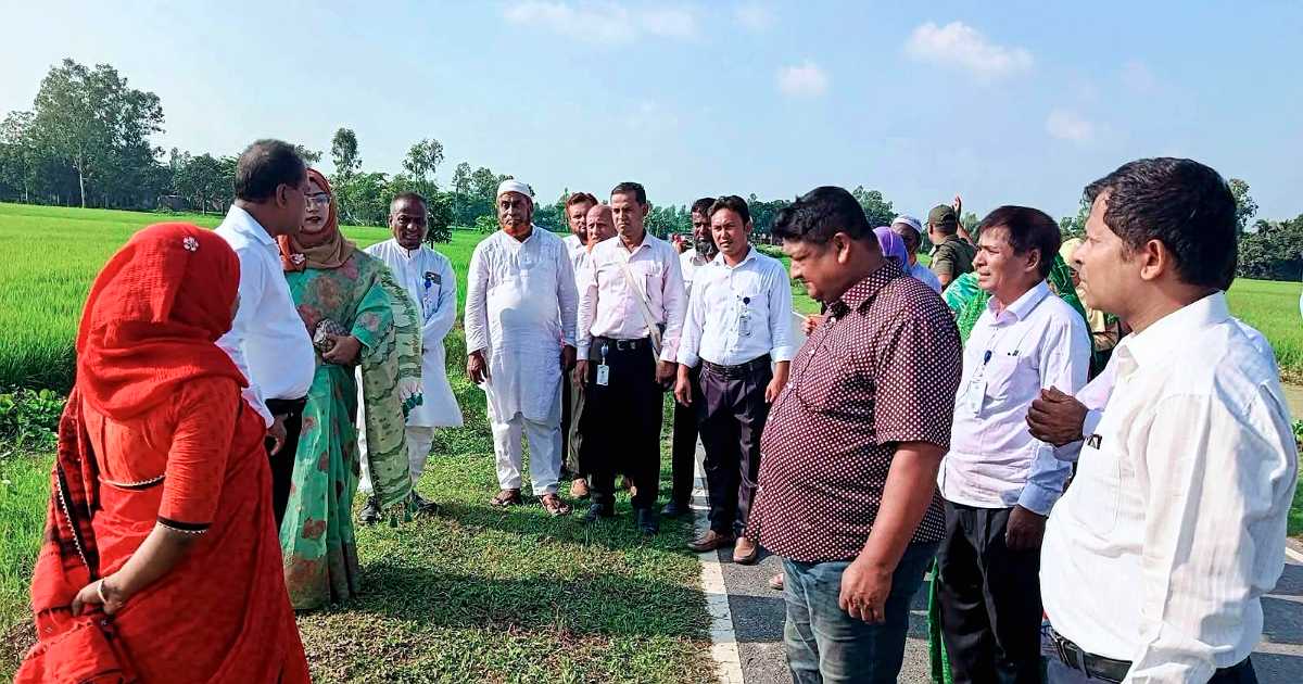 চিরিরবন্দরে বজ্রপাত রোধে ৪ হাজার তালবীজ রোপণ