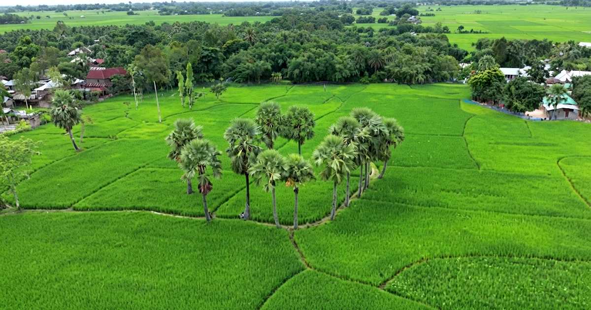 নওগাঁর নিয়ামতপুরের ঘুঘুডাঙ্গা গ্রাম ও বিখ্যাত তালসড়কের ইতিহাস