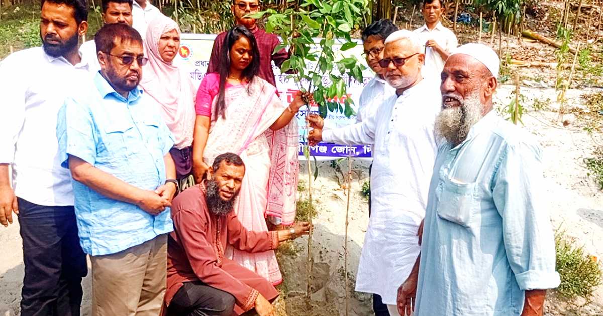 বীরগঞ্জে আশ্রয়ণ পুকুরপাড়ে বৃক্ষরোপণ কর্মসূচি উদ্বোধন করলেন সংসদ সদস্য