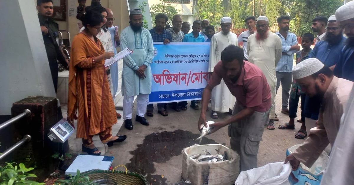 চট্টগ্রামের মিরসরাইয়ে ৪৮ কেজি ইলিশ জব্দ, দুই বিক্রেতাকে অর্থদণ্ড