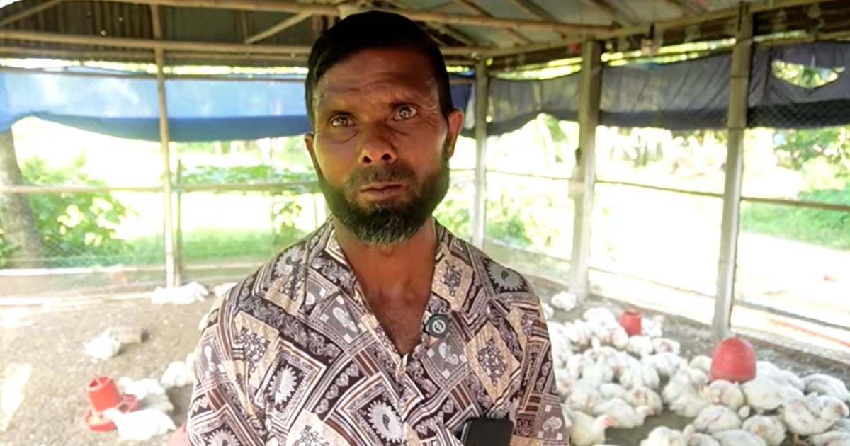 পোল্ট্রি খামারে কঠোর পরিশ্রমে ভাগ্য বদলানো এক শ্রমিকের গল্প
