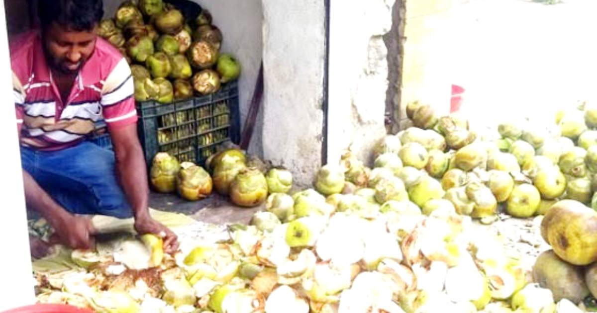 গরমে স্বস্তি ফেরায় কচি তালের শাঁস