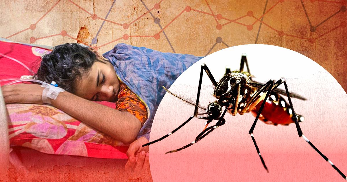 ডেঙ্গুতে ২৪ ঘণ্টায় ৬ জনের মৃত্যু হাসপাতালে ১৫৯৩