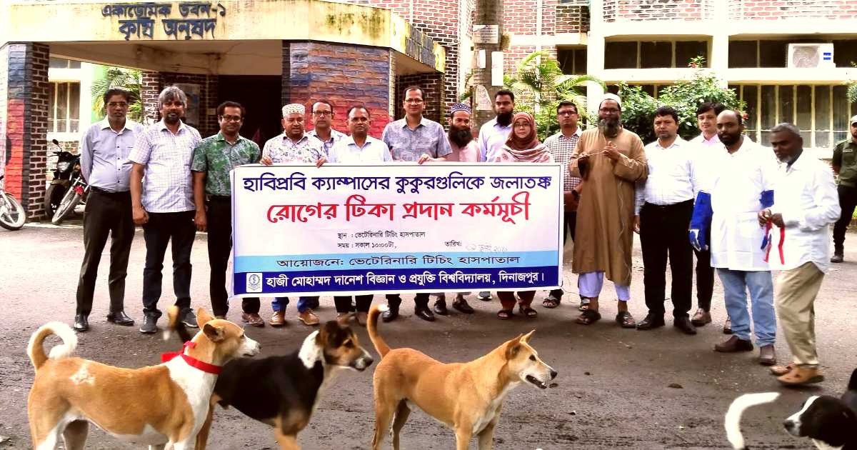 হাবিপ্রবি ক্যাম্পাসে পথকুকুরের স্বাস্থ্য সুরক্ষায় জলাতঙ্ক টিকাদান শুরু