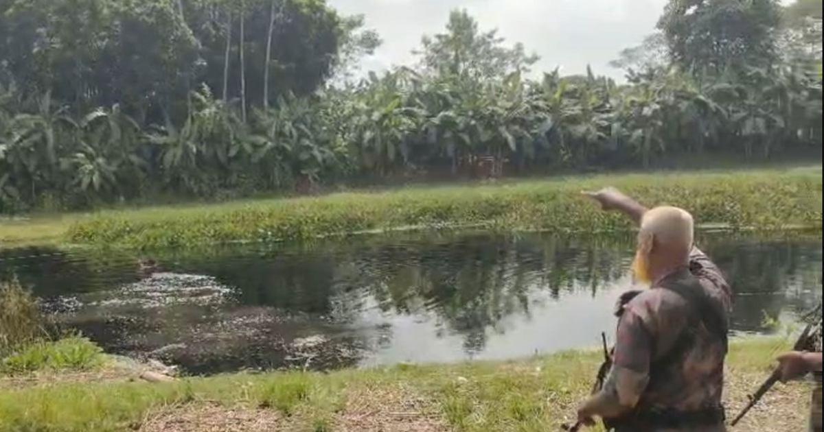 মহেশপুর সীমান্তে বিএসএফের পুশইন চেষ্টা রুখে দিল বিজিবি