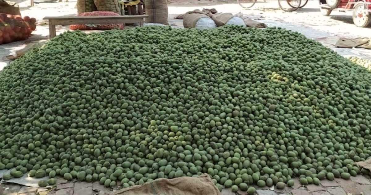 পঞ্চগড়ে দিনে অর্ধকোটি টাকার জলপাই বিক্রি