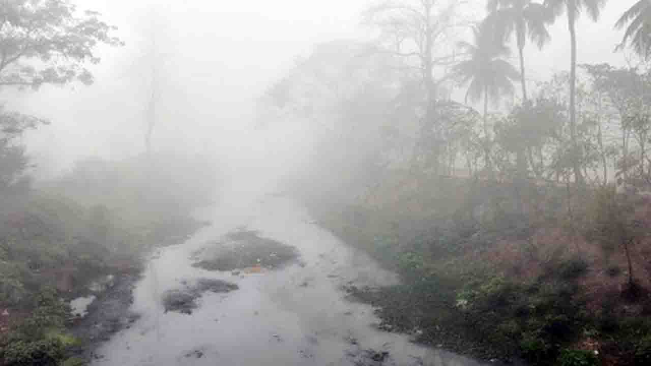 দিনাজপুরে হঠাৎ ঘন কুয়াশা ও হিম বাতাস