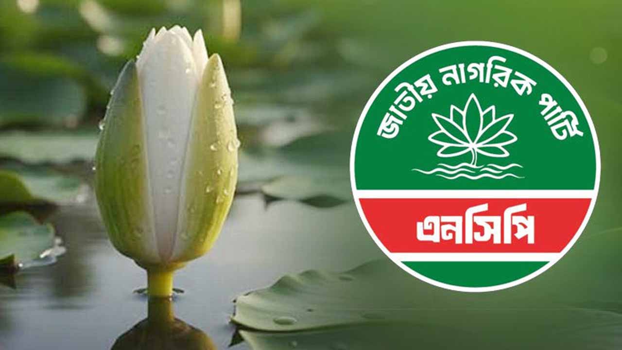 ২৭ আসনে এনসিপির প্রার্থী ঘোষণা, কে কোন আসনে
