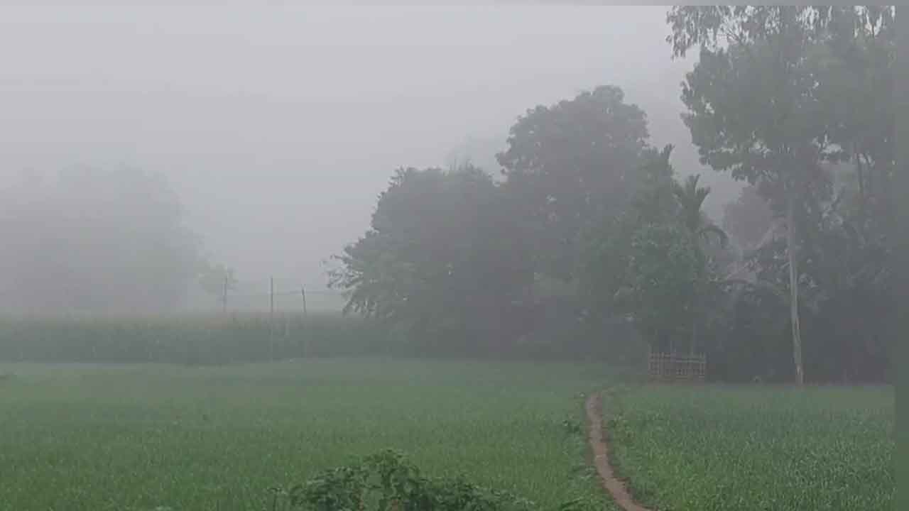 চৈত্র শেষে কুয়াশায় ঢাকা পড়ল পঞ্চগড়