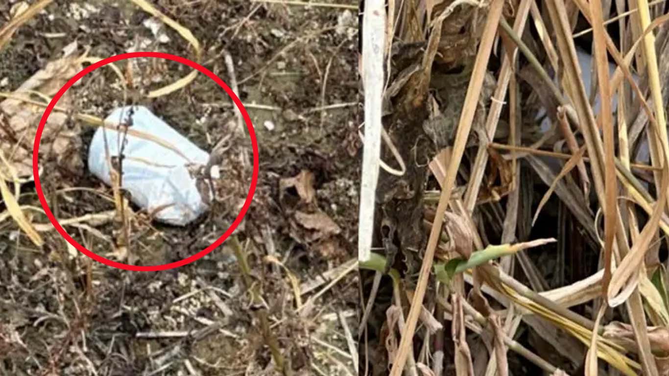 খেলনা ভেবে ককটেল তুলল কিশোর মাটিতে ফেলতেই বিস্ফোরণ