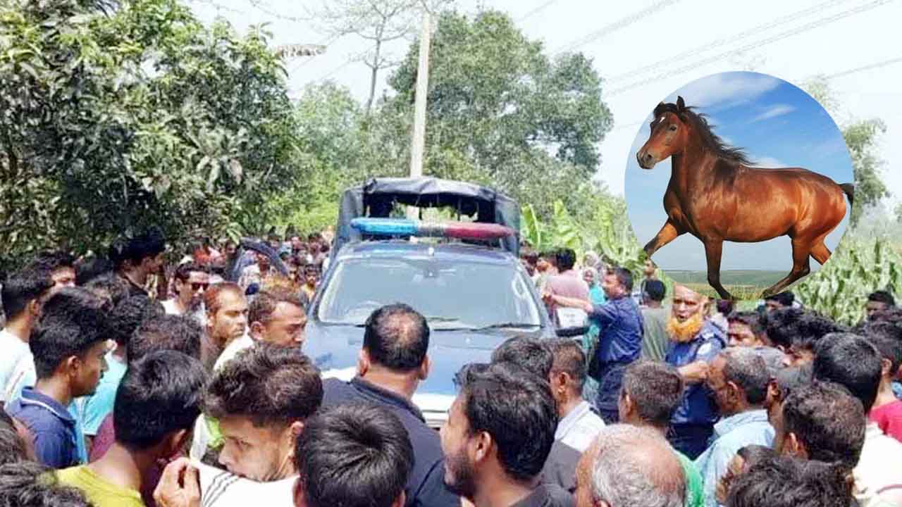 ঘোড়া জবাই করে মাংস বিক্রি ৩ কসাইয়ের কারাদণ্ড