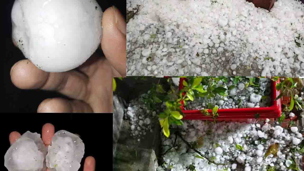 নীলফামারীতে শিলাবৃষ্টি ও কালবৈশাখীর তাণ্ডবে ফসলের ব্যাপক ক্ষতি