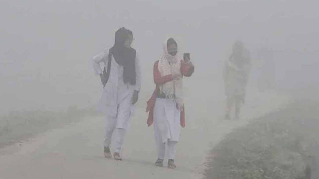 শীত-কুয়াশা নিয়ে আগামী ৫ দিনের পূর্বাভাস দিল আবহাওয়া অফিস