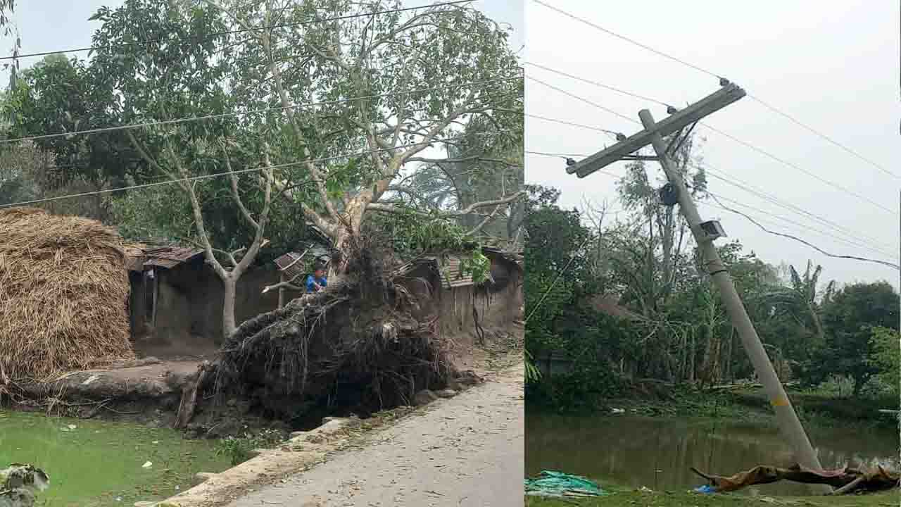 বিরলে ঘূর্ণিঝড়ের তাণ্ডব লণ্ডভণ্ড ঘরবাড়ি ও ফসল