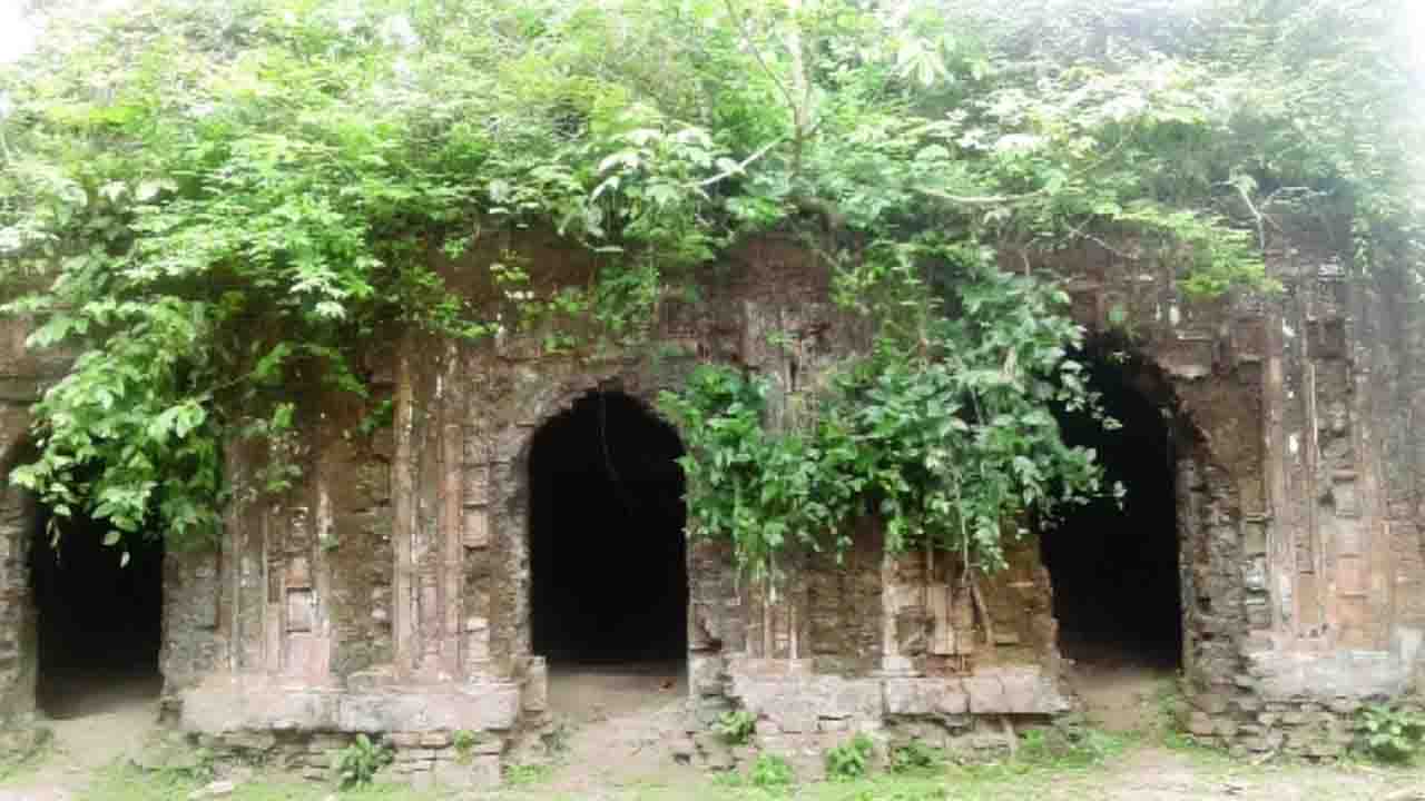 নবাবগঞ্জে বিলীনের পথে ঐতিহাসিক বৌদ্ধ বিহার