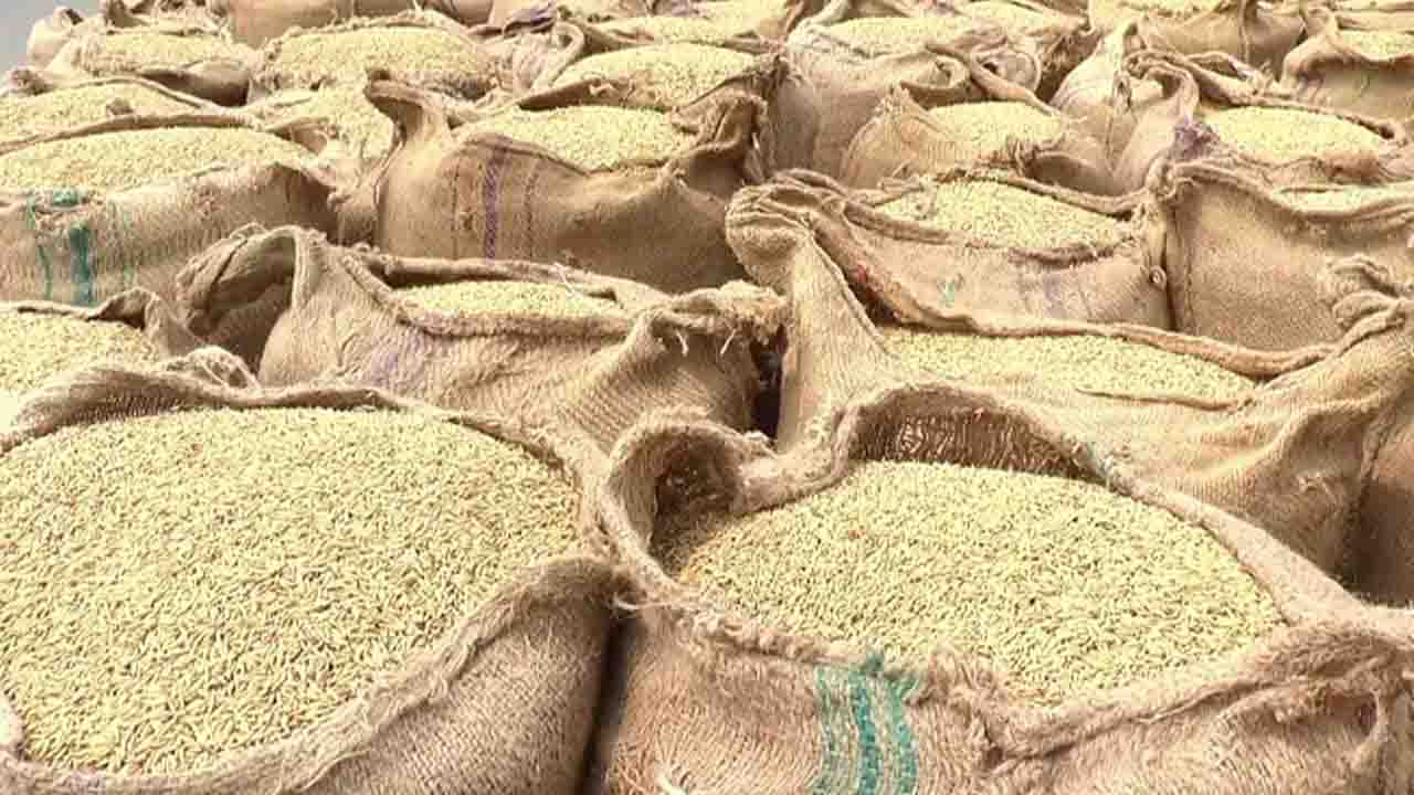 লোকসানের মুখে কাহারোলের আমন ধান চাষীরা