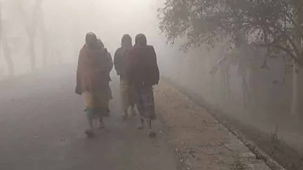 শৈত্যপ্রবাহ নিয়ে অধিদপ্তরের নতুন বার্তা