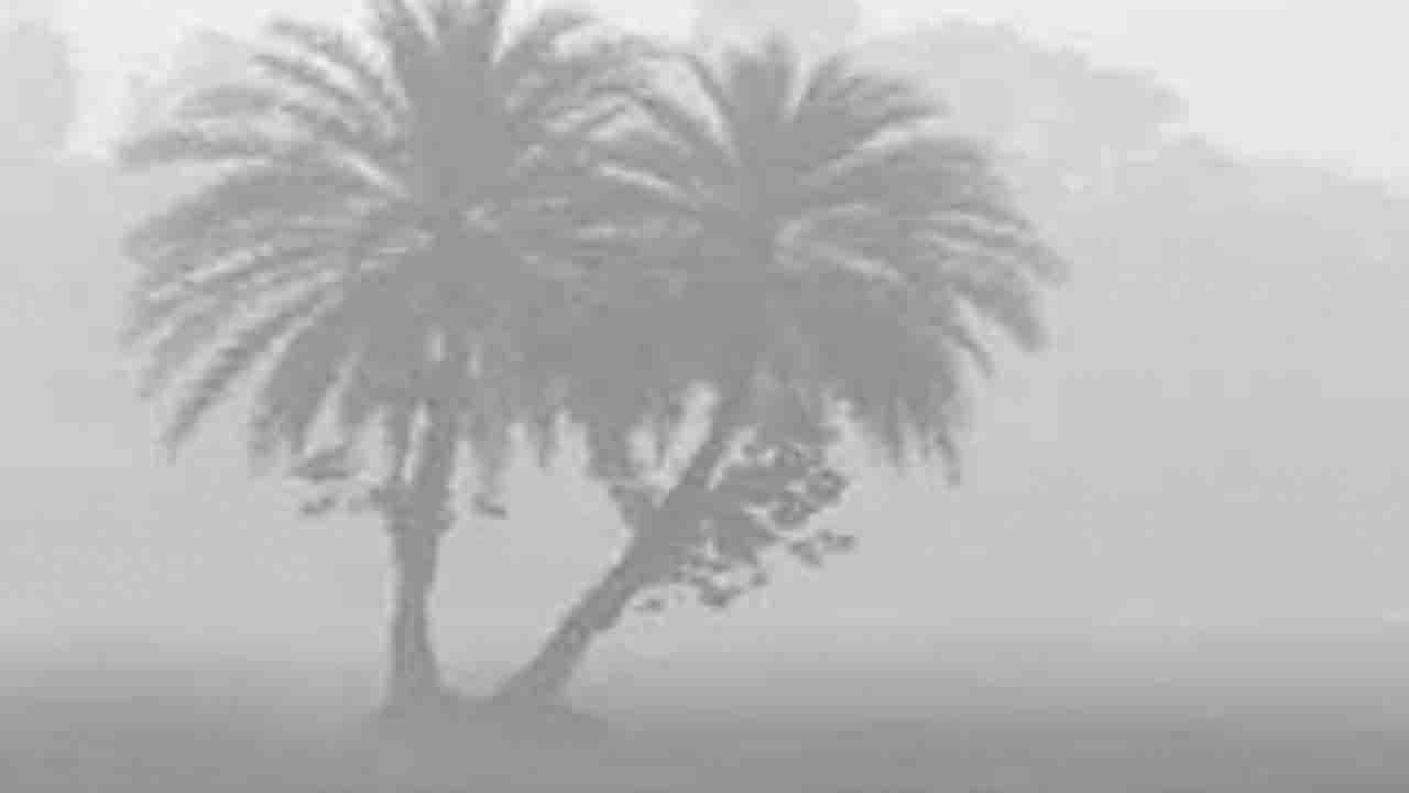 তেঁতুলিয়ায় ১৩ ডিগ্রির ঘরে তাপমাত্রা