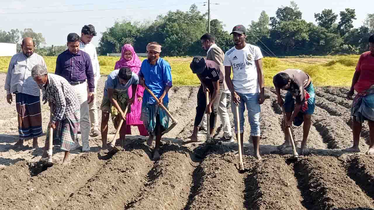 বিরলে আলু বীজ উৎপাদনে নতুন জাত ‍‍`সানতানা‍‍` রোপন কর্মসূচির উদ্বোধন