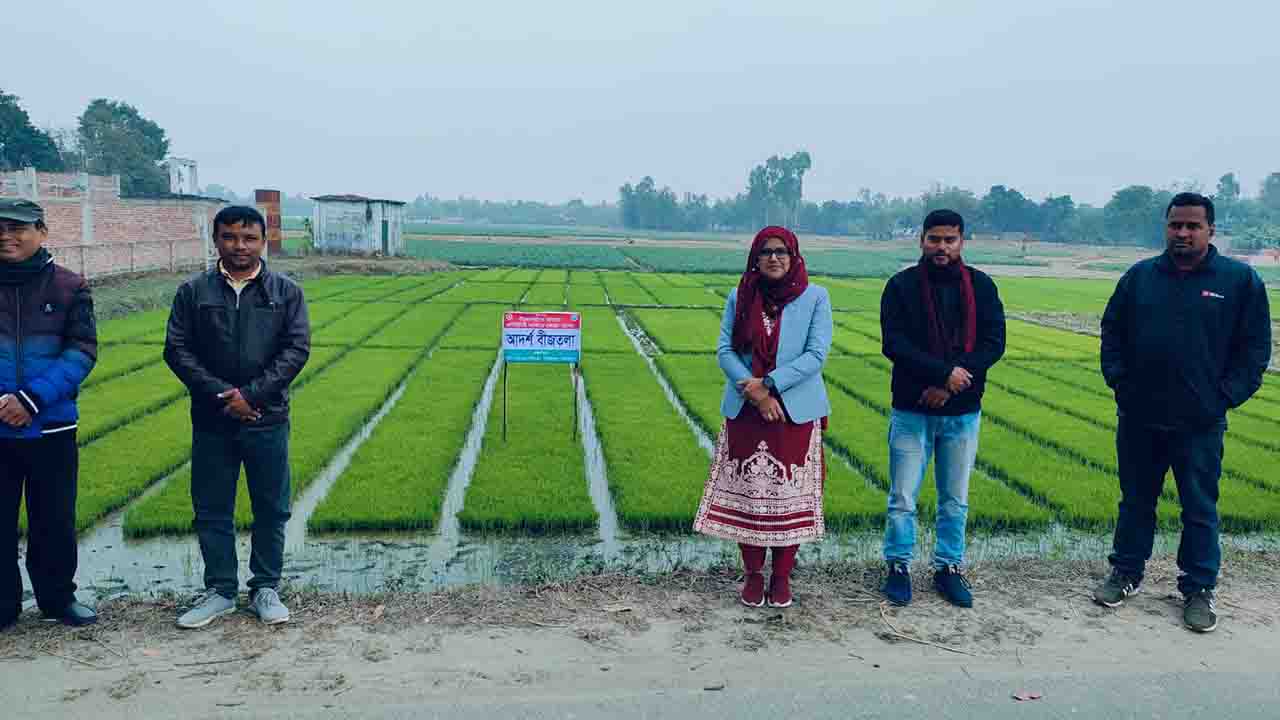 কৃষিতে আধুনিকতার ছোঁয়া: চিরিরবন্দরে জনপ্রিয় হচ্ছে ‍‍`আদর্শ বীজতলা‍‍`